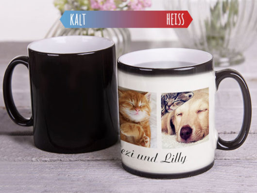 Persönliches Geschirr mit eigenem Foto gestalten